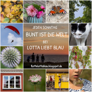 bunt_ist_die_welt_logo_2-2[1]