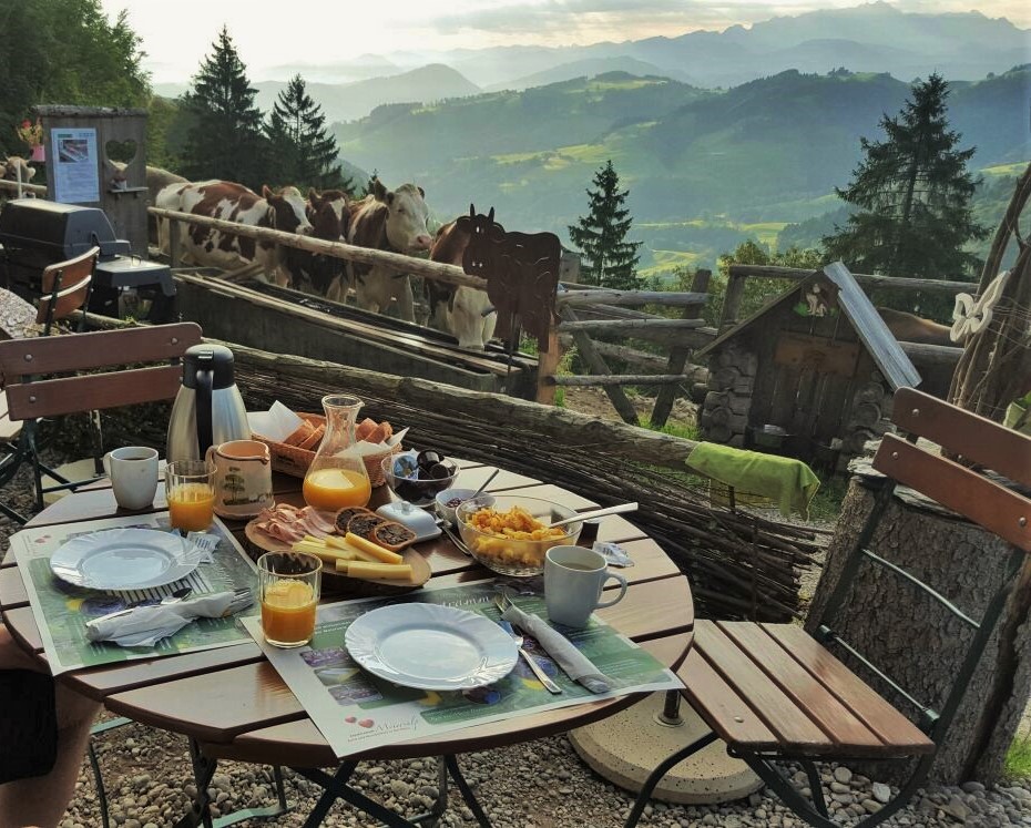 IMG-20160815-WA0040 (2)