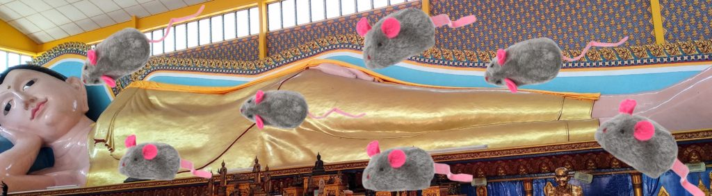 Dieses Bild hat ein leeres Alt-Attribut. Der Dateiname ist wp-1579431665438-1024x283.jpg