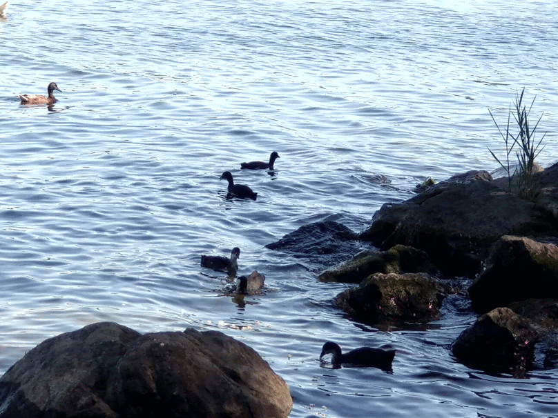 Dieses Bild hat ein leeres Alt-Attribut. Der Dateiname ist wp-1594363296067.gif