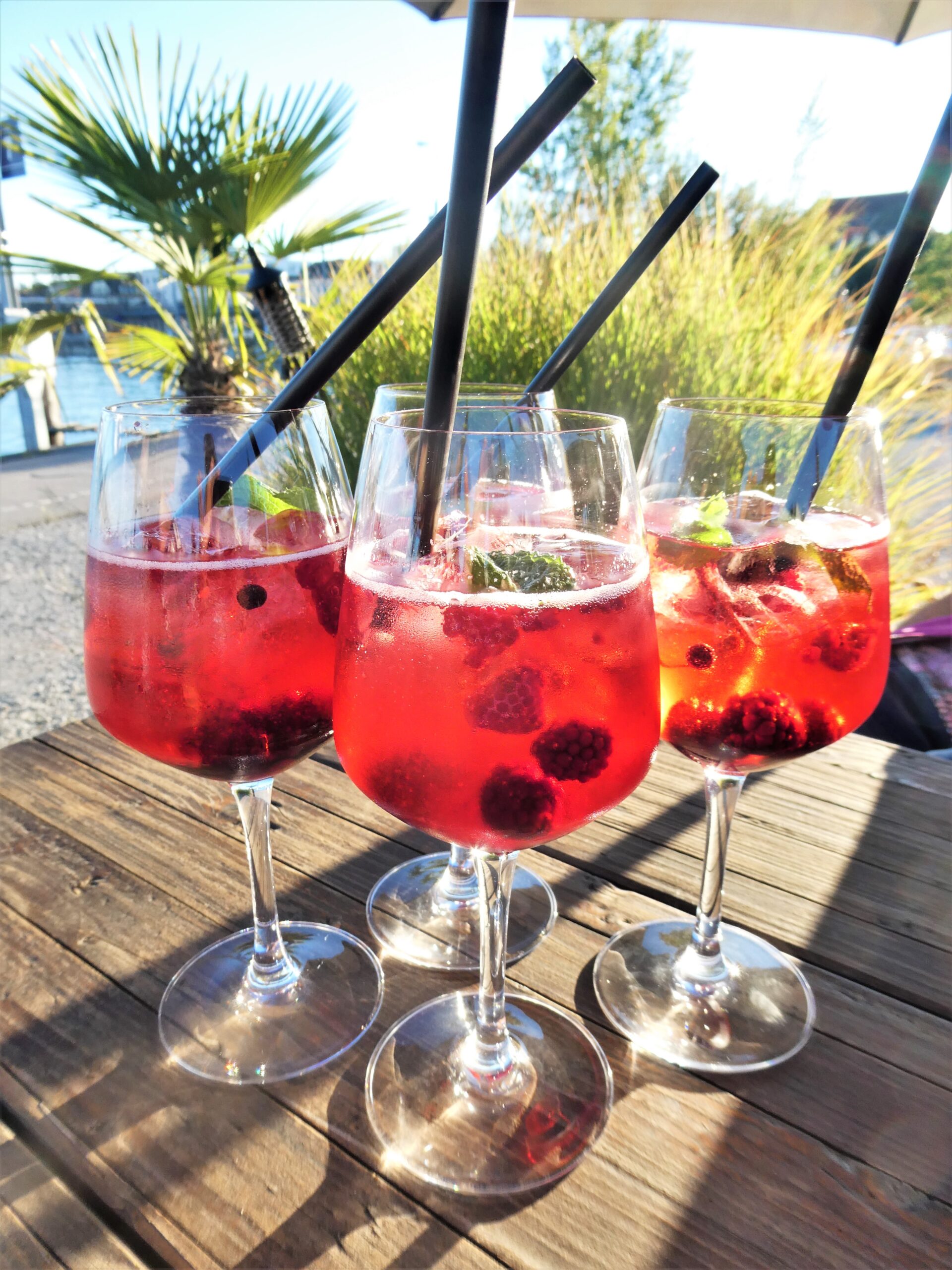 Dieses Bild hat ein leeres Alt-Attribut. Der Dateiname ist P1085070-scaled.jpg