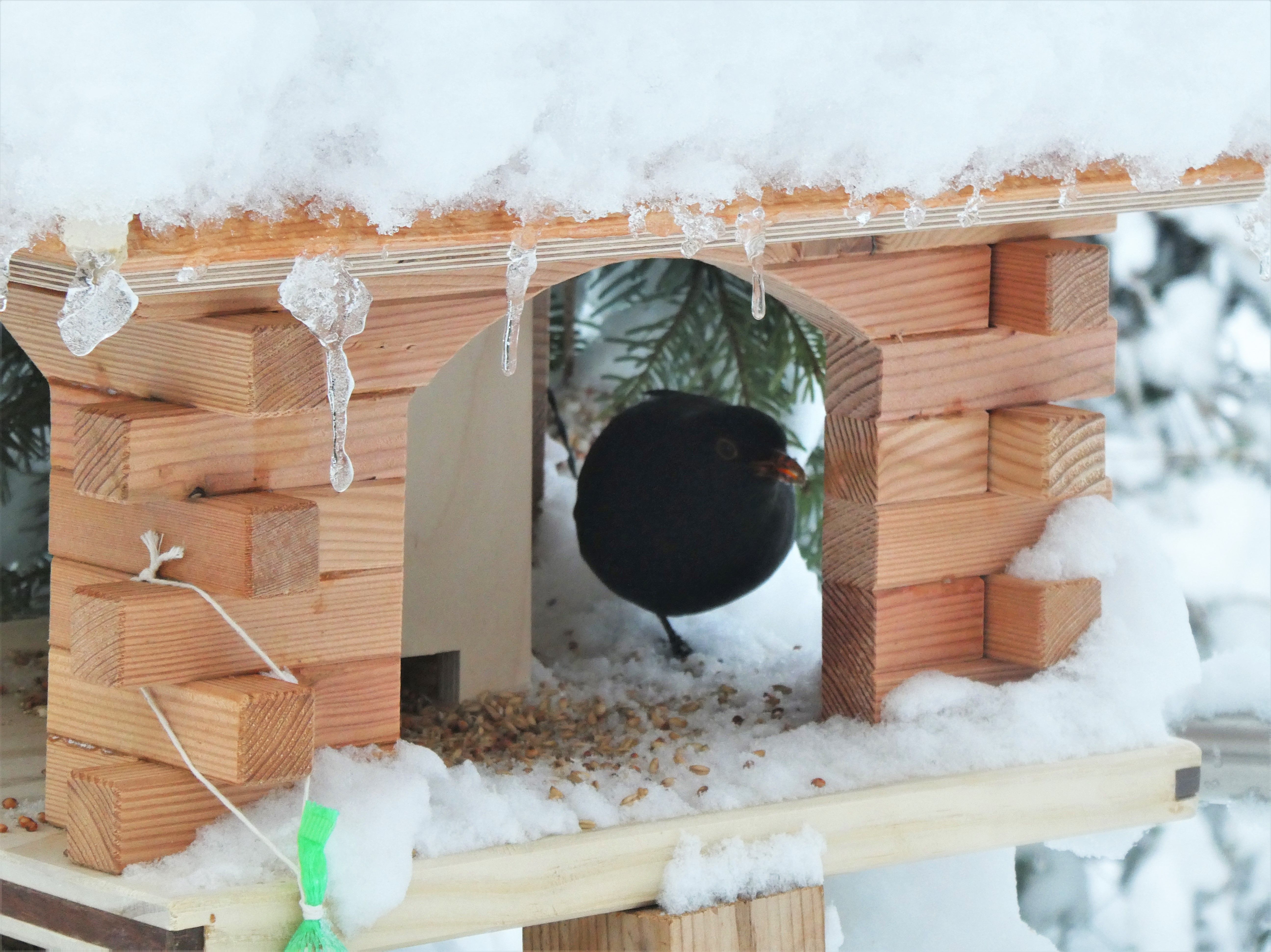 Dieses Bild hat ein leeres Alt-Attribut. Der Dateiname ist P1106908.jpg