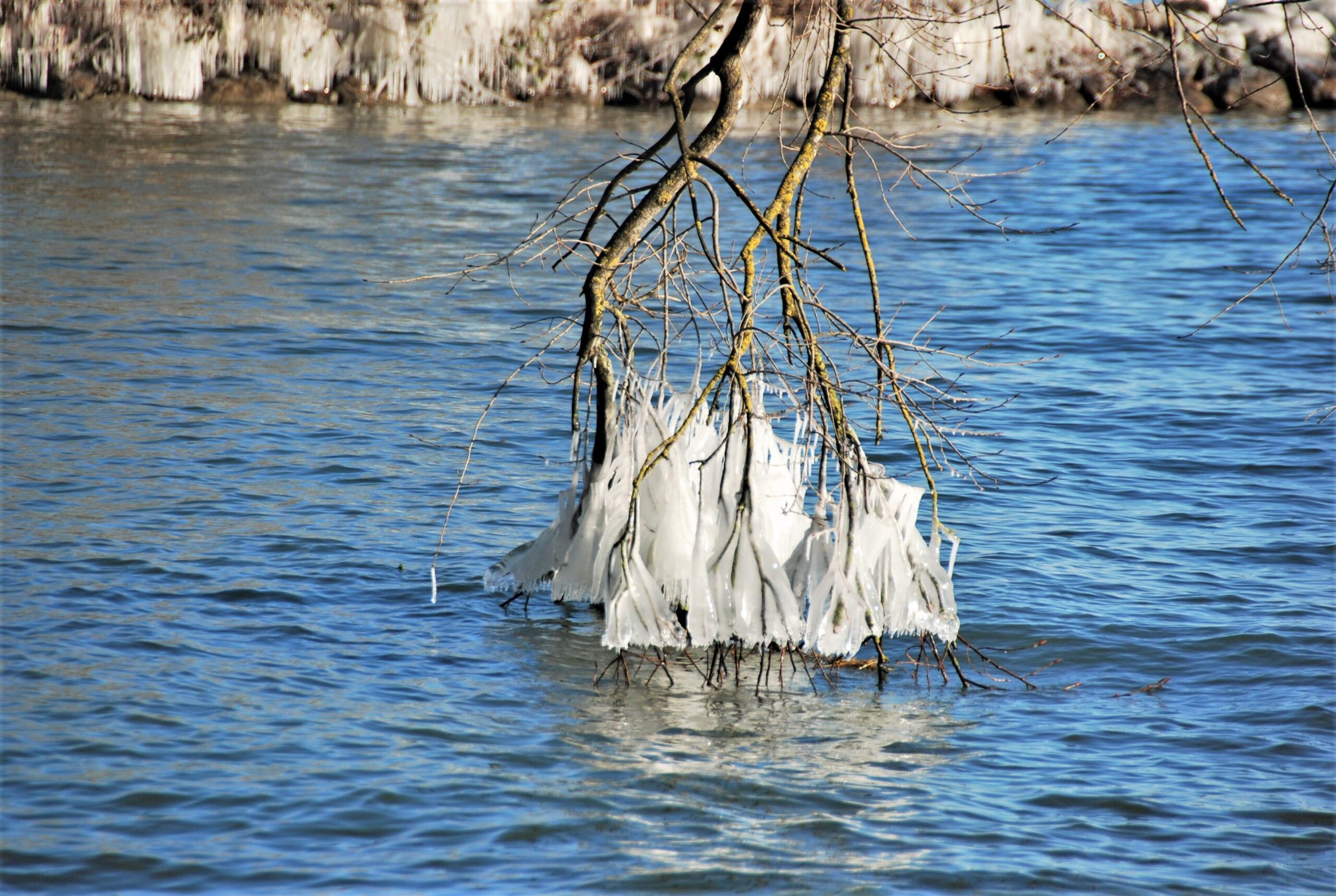 Dieses Bild hat ein leeres Alt-Attribut. Der Dateiname ist DSC_1323-scaled.jpg