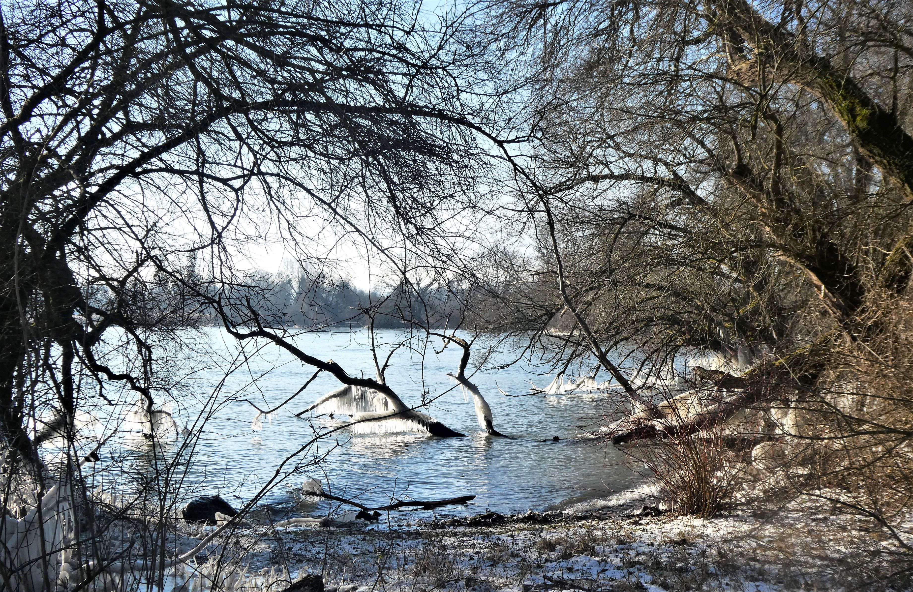 Dieses Bild hat ein leeres Alt-Attribut. Der Dateiname ist P1117247.jpg