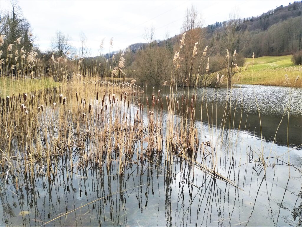 Dieses Bild hat ein leeres Alt-Attribut. Der Dateiname ist IMG_20200225_112806-1024x768.jpg