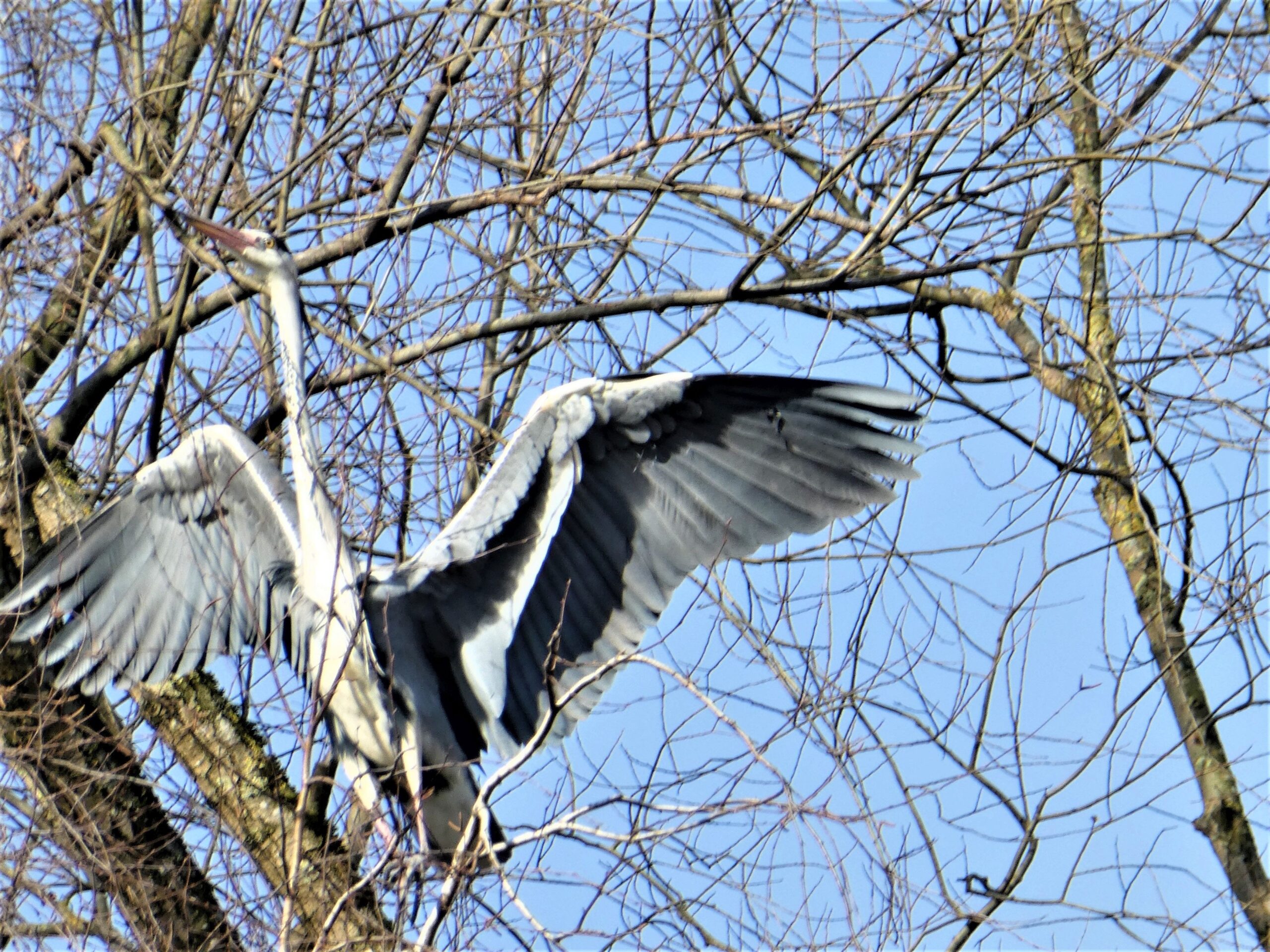 Dieses Bild hat ein leeres Alt-Attribut. Der Dateiname ist P1060235-scaled.jpg