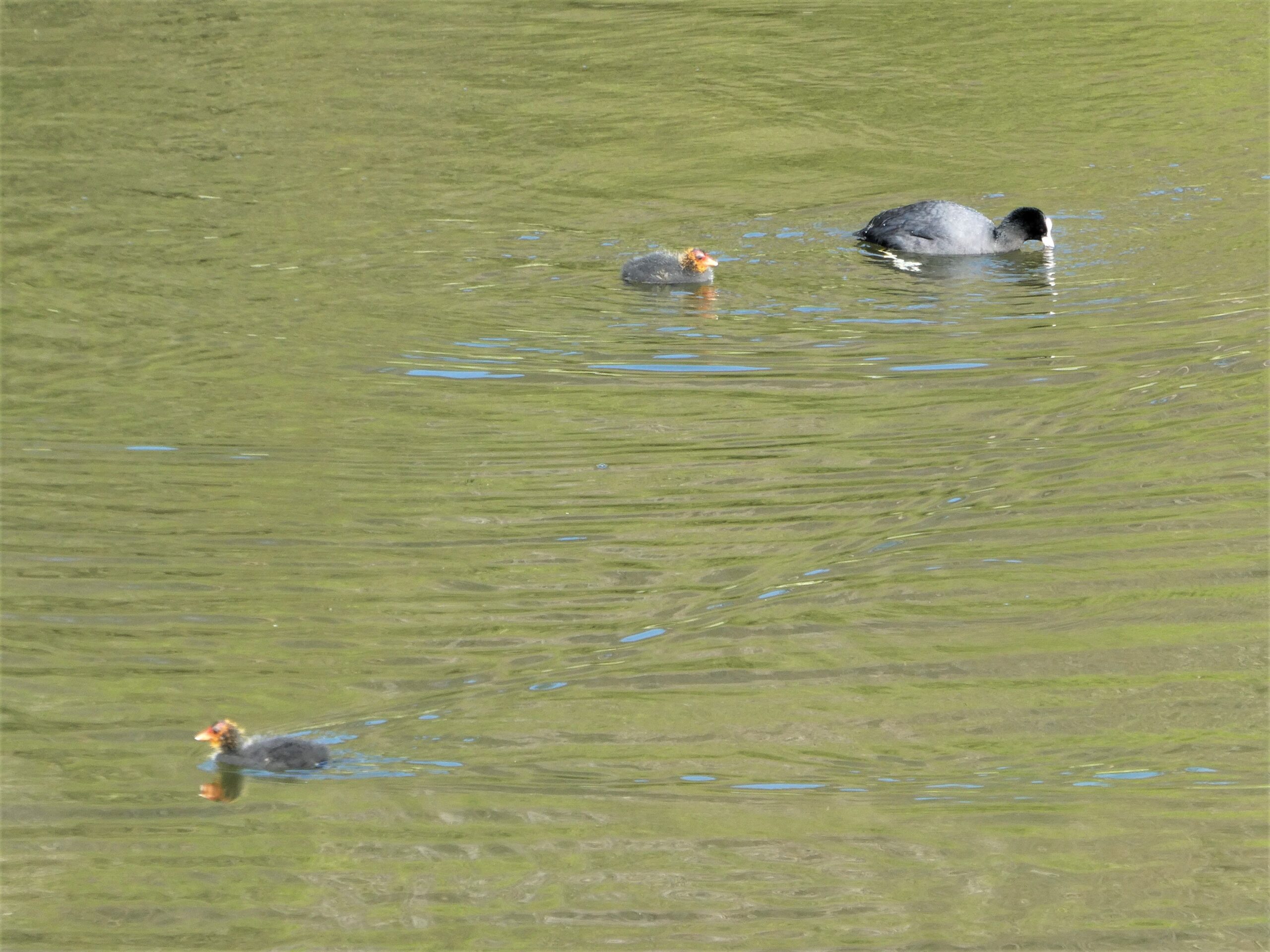 Dieses Bild hat ein leeres Alt-Attribut. Der Dateiname ist P1118025-scaled.jpg