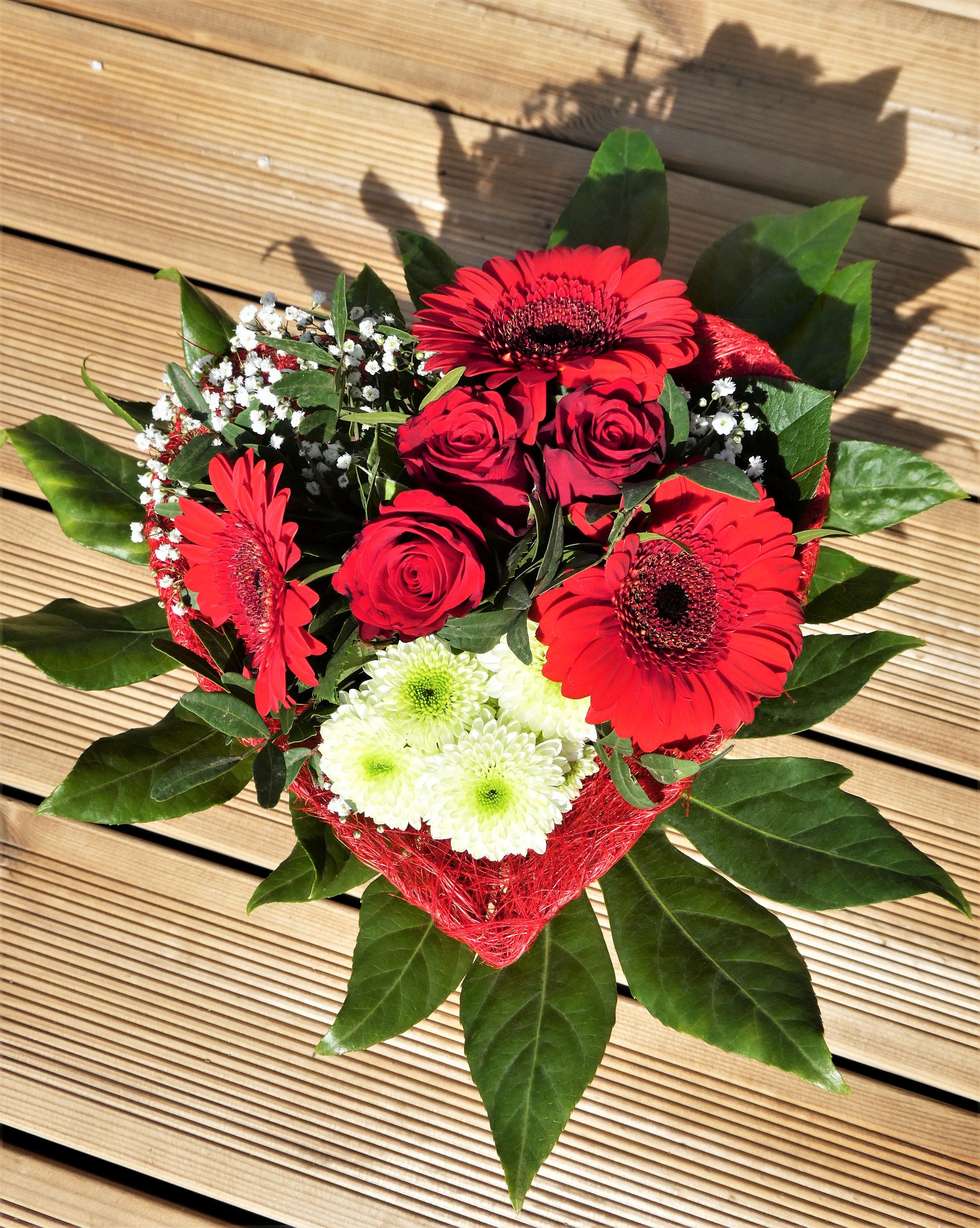 Dieses Bild hat ein leeres Alt-Attribut. Der Dateiname ist P1118273.jpg