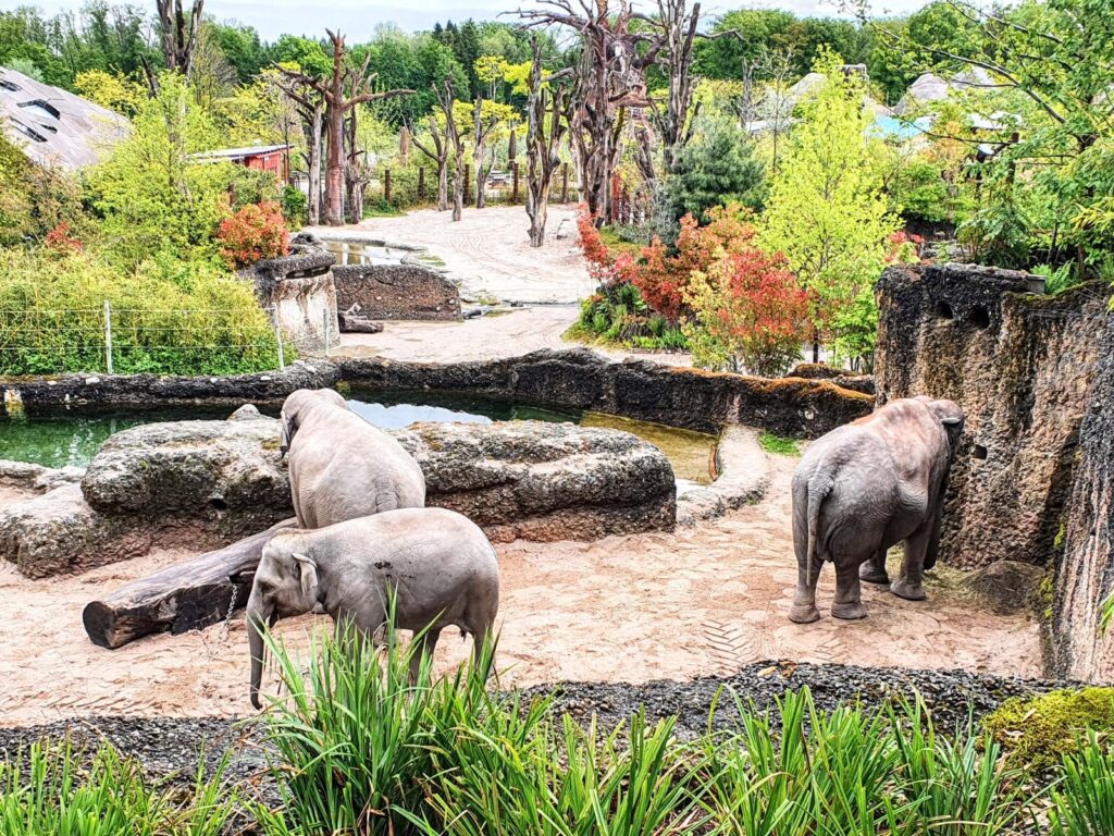 Dieses Bild hat ein leeres Alt-Attribut. Der Dateiname ist wp-1622717953354.-1024x768.jpg