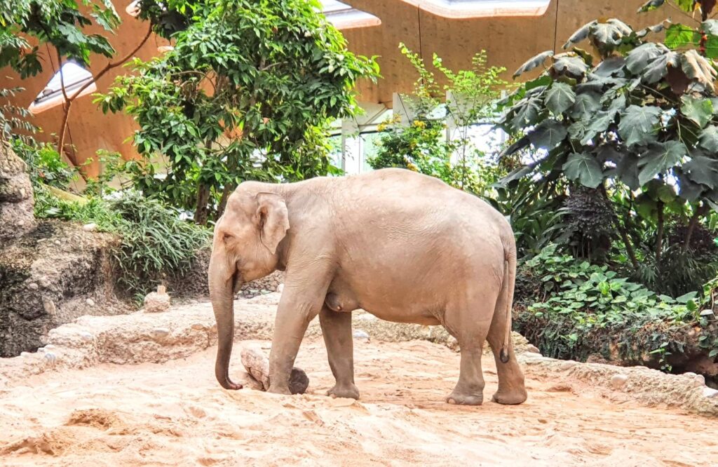 Dieses Bild hat ein leeres Alt-Attribut. Der Dateiname ist wp-1622717953377.-1024x666.jpg