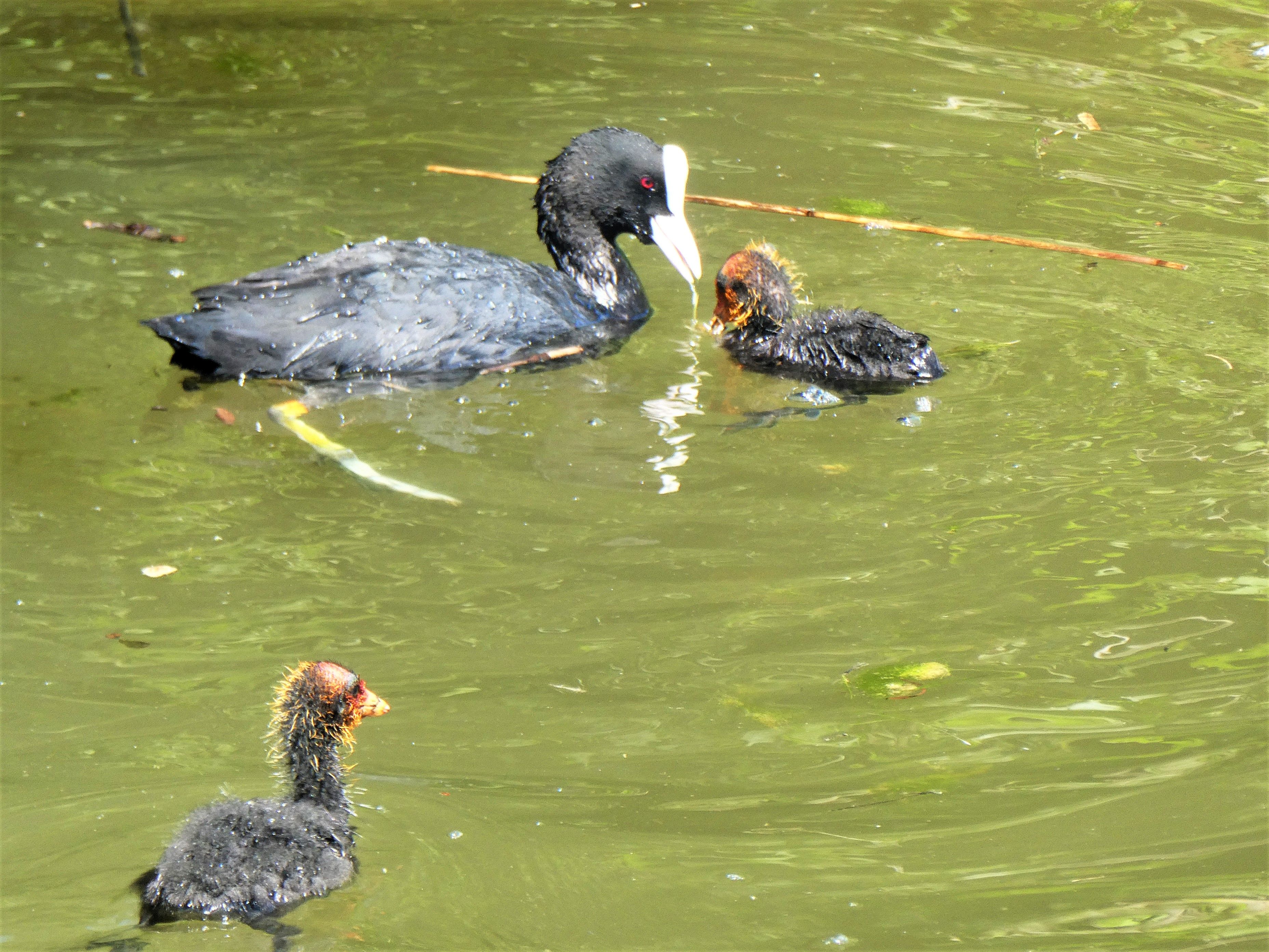 Dieses Bild hat ein leeres Alt-Attribut. Der Dateiname ist P1118651.jpg