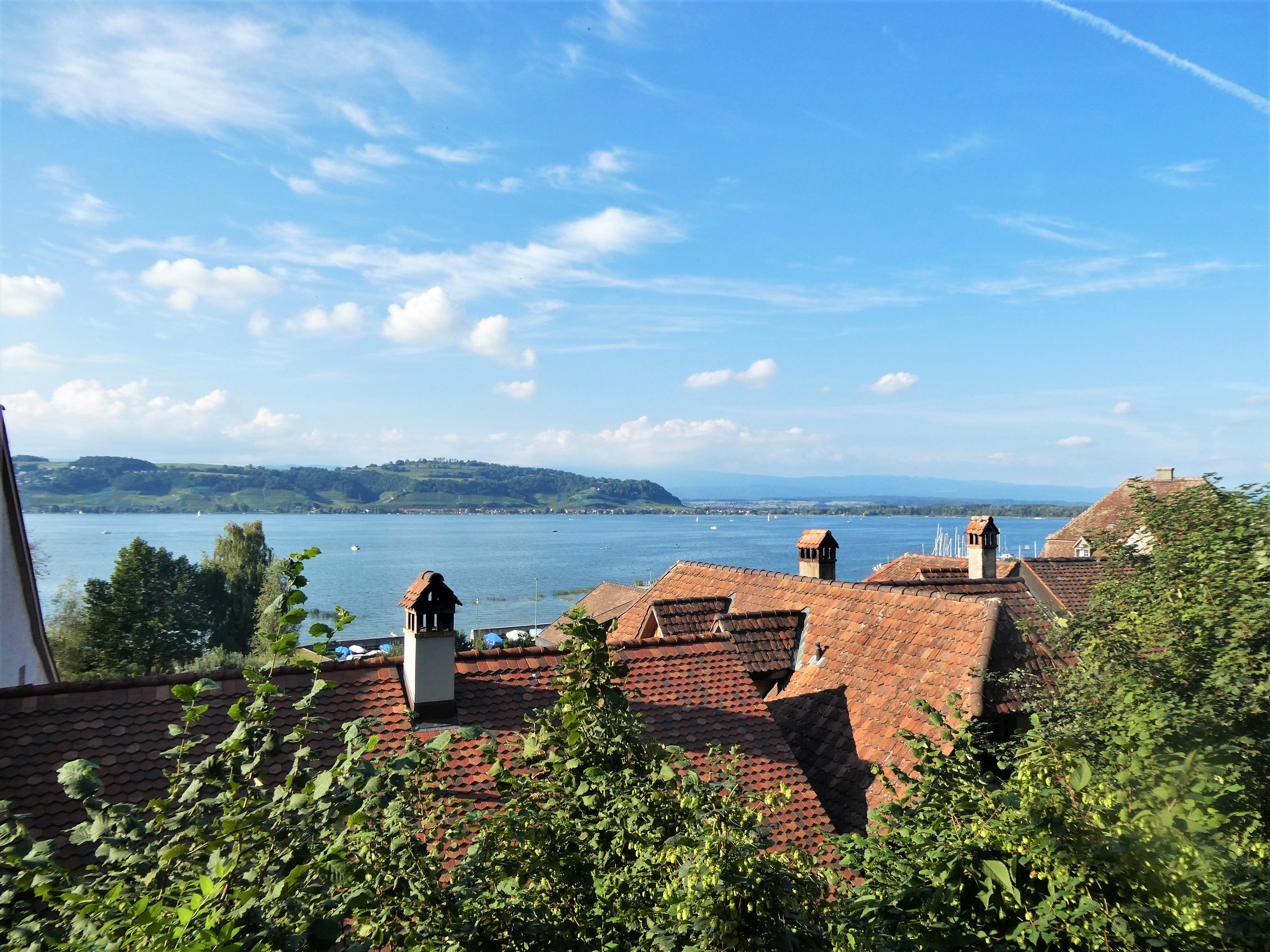 Dieses Bild hat ein leeres Alt-Attribut. Der Dateiname ist P1130090.jpg