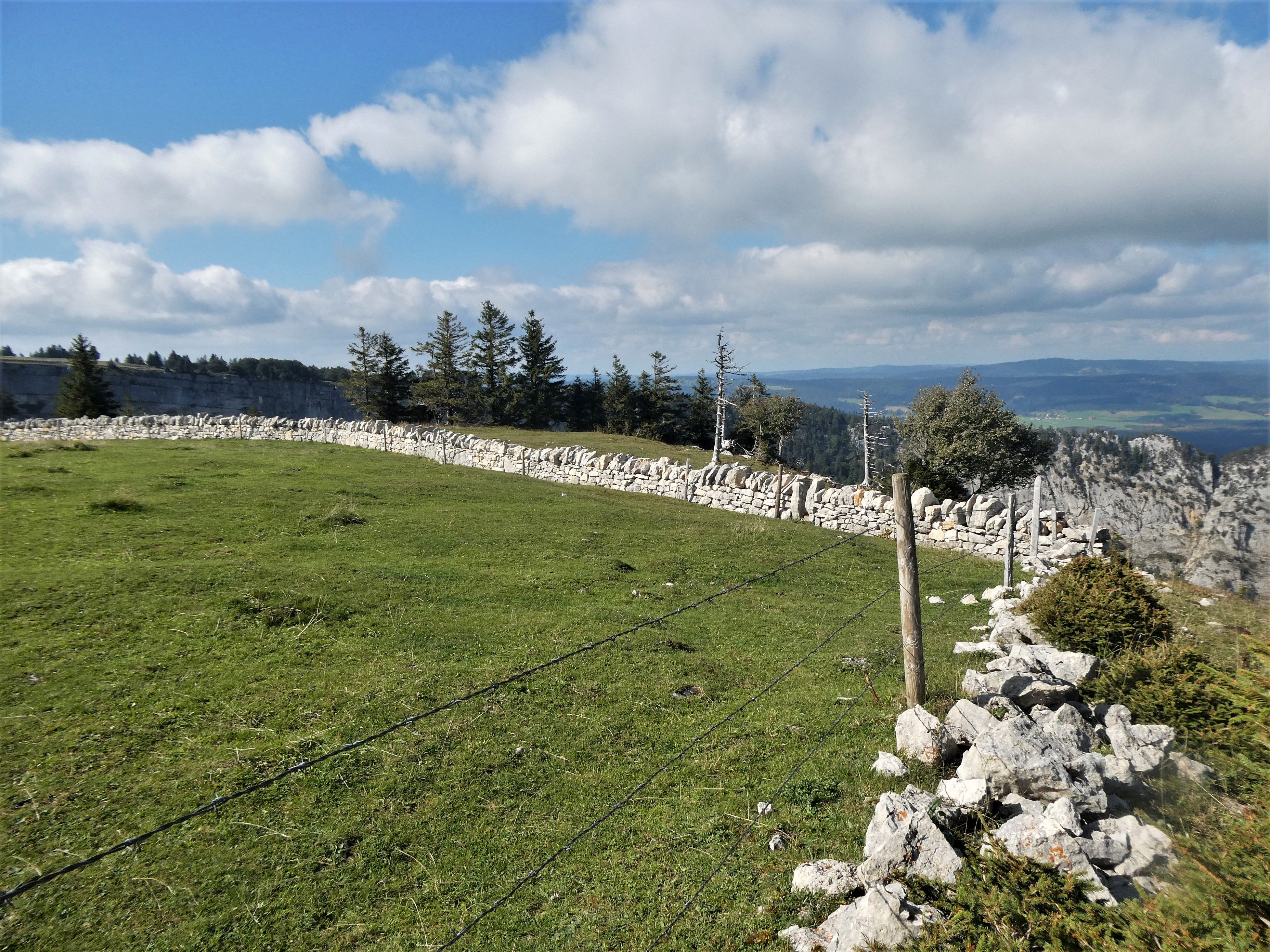 Dieses Bild hat ein leeres Alt-Attribut. Der Dateiname ist P1130418.jpg