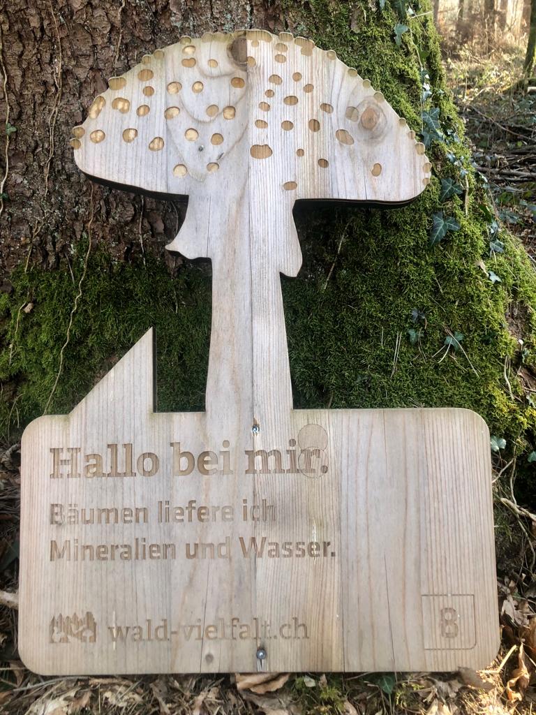 Dieses Bild hat ein leeres Alt-Attribut. Der Dateiname ist wp-1646409422399.jpg